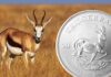 il krugerrand sposa l’argento