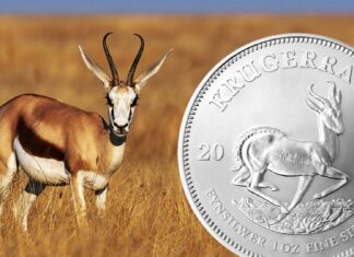 il krugerrand sposa l’argento