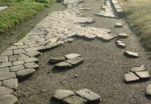 conferenza di numismatica romana