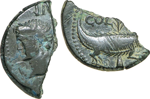 Dupondio in bronzo del 14.10 a.C. (mm 25,5, g 6,55) della zecca di Nemausus, frazionato in due metà: fenomeno assai frequente in questa diffusa monetazione