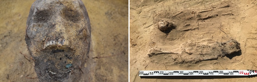 A sinistra, nella bocca di uno dei corpi rinvenuti è visibile l'obolo di Caronte; a destra, altre due delle oltre cento sepolture rinvenute in Polonia e risalenti al XVI-XVII secolo