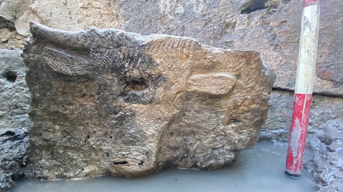 La magnifica testa di toro scoplito che ornava la fonte sacra a San Casciano dei Bagni: due metri sotto questo manufatto è stato rinvenuto il ricco deposito votivo di monete di età romana