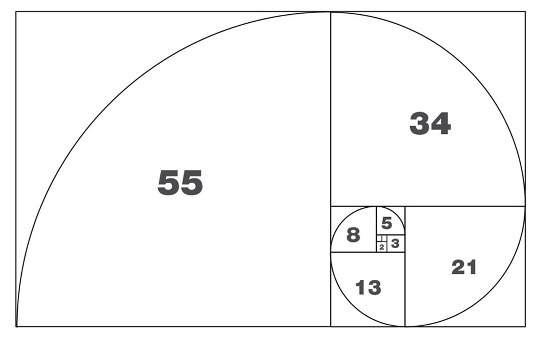 La sequenza dei numeri di Fibonacci nella sezione aurea: dalla somma dei primi due (1 e 2) il terzo della serie (3), dalla somma del secondo e del terzo (2 e 3) il quarto (5) e così via