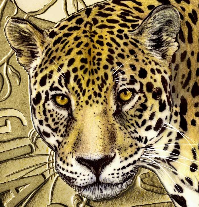 Eccolo, il magnifico giaguaro disegnato da Silvia Petrassi per i 5 euro Mondo sostenibile 2022 emessi dall'Italia