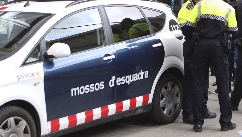 Le autorità spagnole hanno operato insieme ad Europol, l'agenzia europea di investigazione con sede a L'Aia, e l'inchiesta ha portato a smantellare un'organizzazione criminale complessa