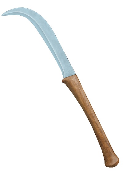 La spada dacica, dalla forma di falce, temuta dai legionari di Roma per la sua capacità di perforare scudi e armature