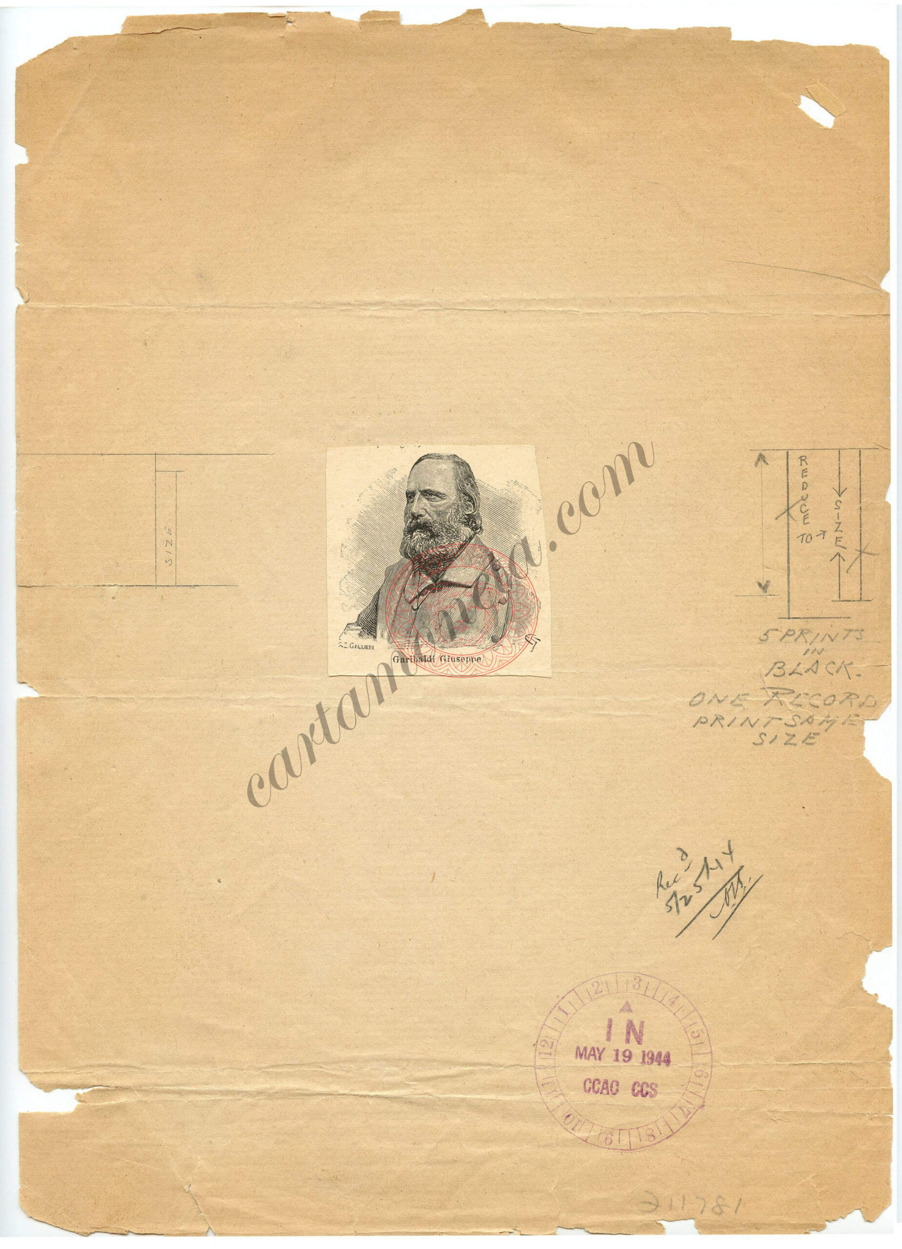 garibaldi