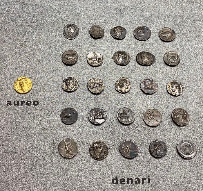 Aurei e denari esposti nella sezione romana del Museo civico archeologico di Bologna: la collezione numismatica, che comprende circa 100.000 esemplari, è consultabile in forma digitale su appuntamento