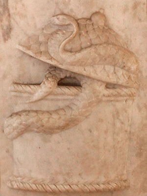 Antico bassorilievo raffigurante la cista bacchica da cui escono serpenti