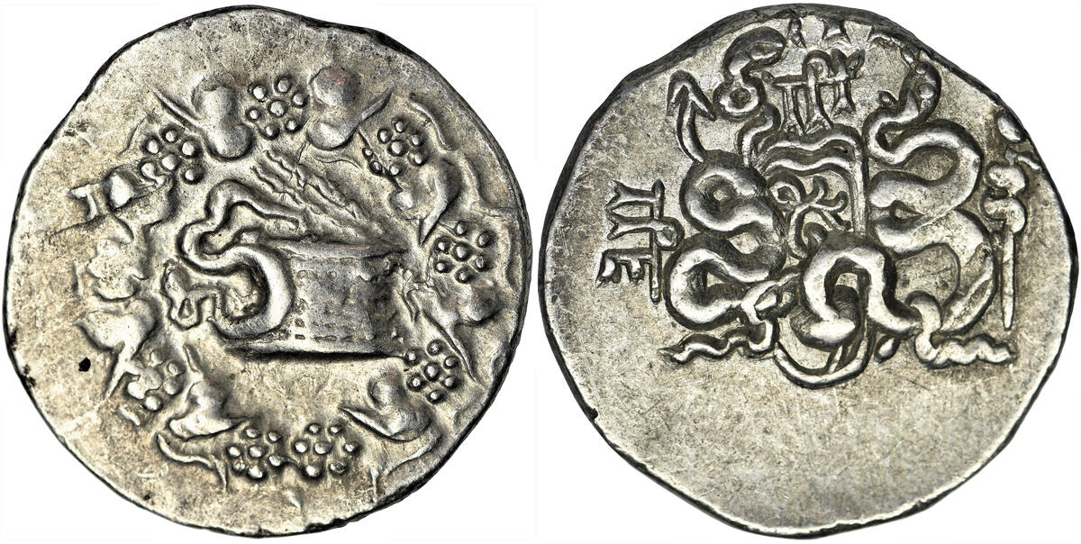 Cistoforo in argento coniato dalla zecca di Pergamo nel periodo dal 180 al 133 a.C. circa: moneta dall'ampia diffusione in Asia Minore, rappresentò di fatto uno standard valutario di riferimento