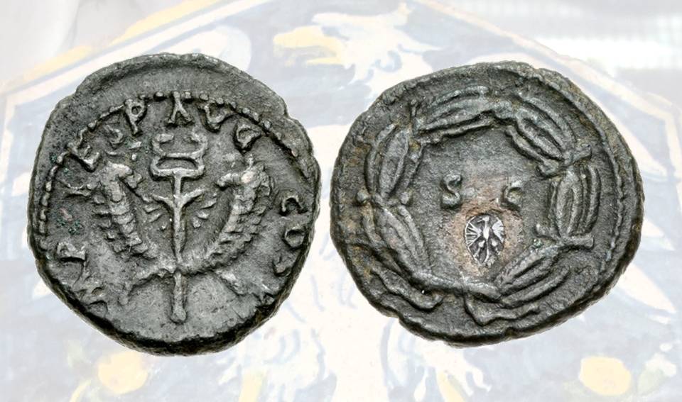 Non solo monete d'oro nella collezione numismatica estense: ecco un quadrante in bronzo di Vespasiano battuto nel 77-78 con la contromarca al rovescio sotto le lettere SC