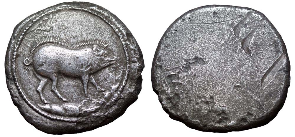polpo etruschi