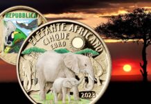 elefante africano moneta euro italia ipzs collezione numismatica