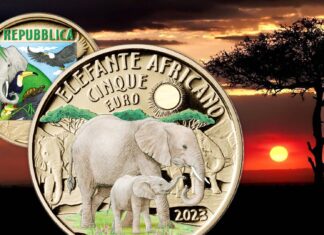 elefante africano moneta euro italia ipzs collezione numismatica