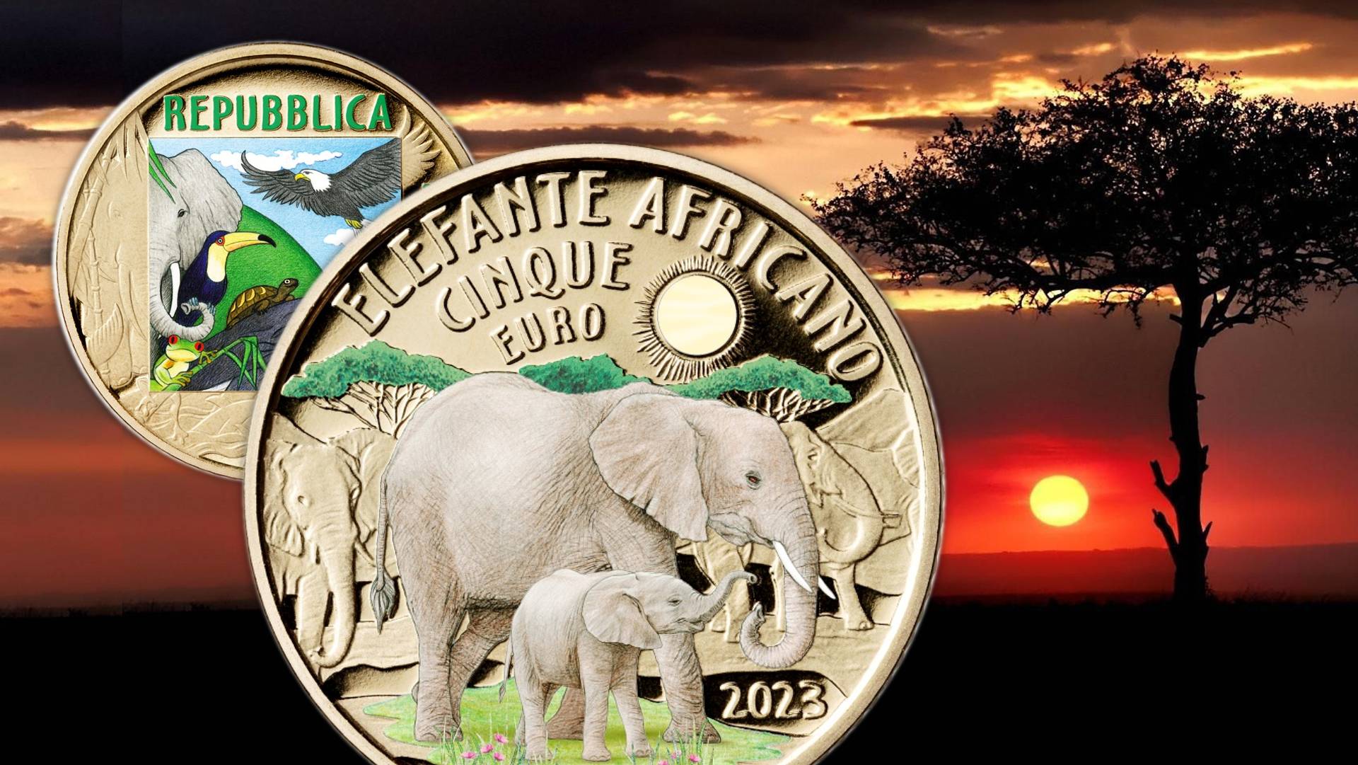 elefante africano moneta euro italia ipzs collezione numismatica