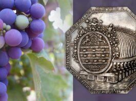 botte vino heidelberg germania palatinato medaglia asta kunker