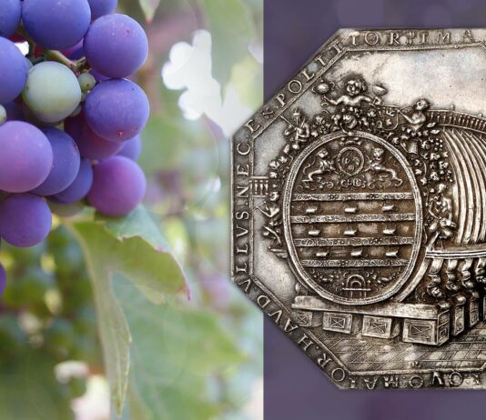botte vino heidelberg germania palatinato medaglia asta kunker