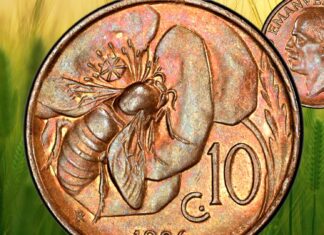 10 centesimi 1919-1937 ape papavero renato brozzi regno d'italia