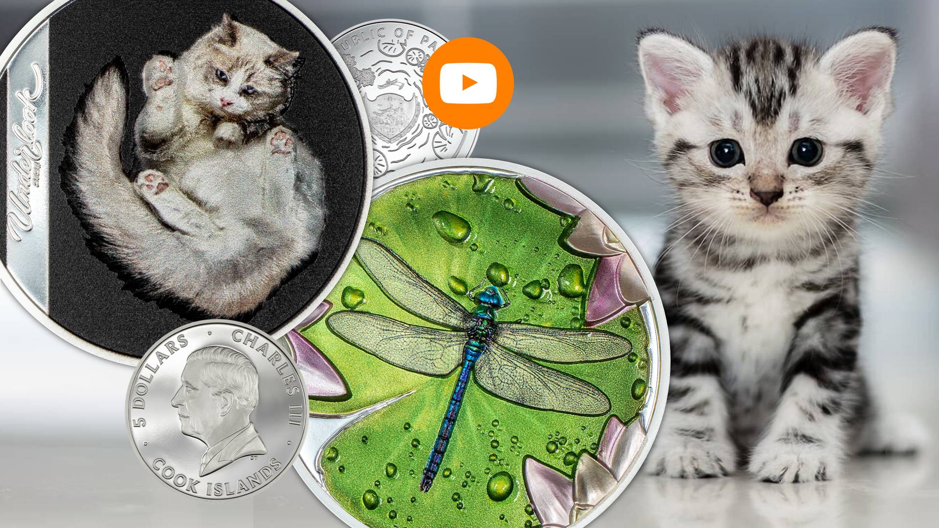 gatto e libellula monete cit palau cook argento oncia colori natura
