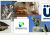 monetazione italiana 2024 ipzs guardia di finanza molise toscana malattie rare uniamo pesaro capitale cultura fontana pretoria palermo