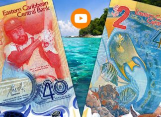 banconota speciale caraibi banca central epesci tartarughe natura mare sole