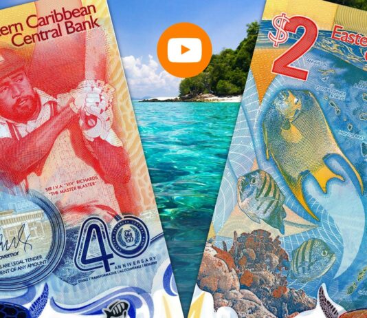 banconota speciale caraibi banca central epesci tartarughe natura mare sole