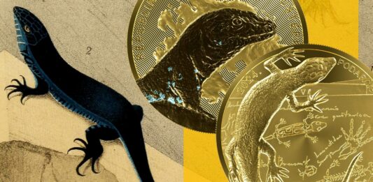 euro monete in oro e argento croazia lucertola nera bullion fior di conio sold out