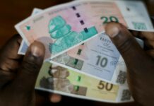 zimbabwe gold zig moneta valuta inflazione dollaro rand zig