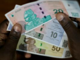 zimbabwe gold zig moneta valuta inflazione dollaro rand zig