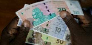 zimbabwe gold zig moneta valuta inflazione dollaro rand zig