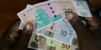 zimbabwe gold zig moneta valuta inflazione dollaro rand zig