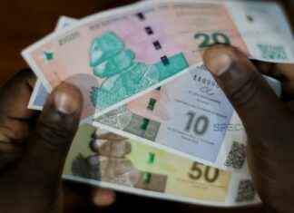 zimbabwe gold zig moneta valuta inflazione dollaro rand zig