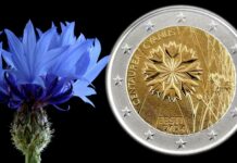 fiordaliso fiore nazionale estonia due euro moneta natura ambiente fortuna amore pace