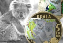 moneta da 5 euro koala wwf ipzs euro collezione italia numismatica natura ambiente