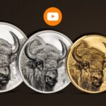 selvaggia mongolia bisonte cit coin invest moneta coin oro argento collezione wild mongolia smartminting limited edition