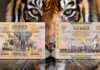 banconota più grande del mondo burundi 10000 franchi flora fauna estinzione numismatica speciale collezione rarità guinness world record