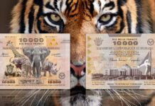 banconota più grande del mondo burundi 10000 franchi flora fauna estinzione numismatica speciale collezione rarità guinness world record