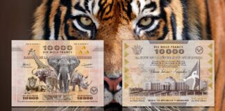 banconota più grande del mondo burundi 10000 franchi flora fauna estinzione numismatica speciale collezione rarità guinness world record