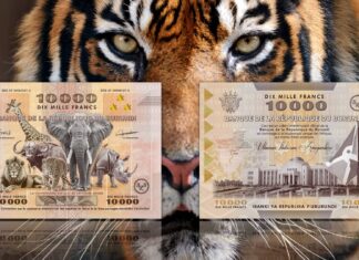 banconota più grande del mondo burundi 10000 franchi flora fauna estinzione numismatica speciale collezione rarità guinness world record