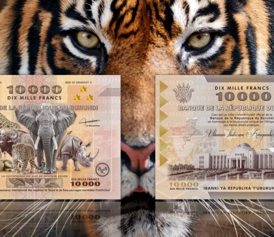banconota più grande del mondo burundi 10000 franchi flora fauna estinzione numismatica speciale collezione rarità guinness world record