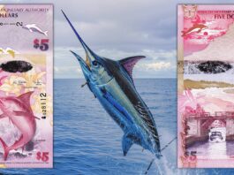 banconota dell anno 2024 ibns bermuda 5 dollari natura flora fauna mare