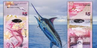 banconota dell anno 2024 ibns bermuda 5 dollari natura flora fauna mare
