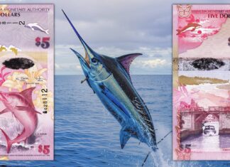 banconota dell anno 2024 ibns bermuda 5 dollari natura flora fauna mare