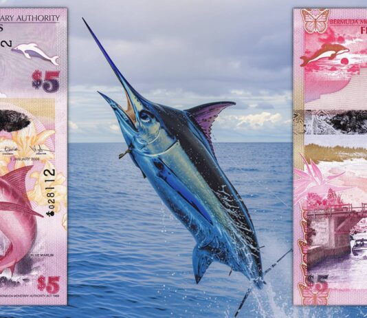 banconota dell anno 2024 ibns bermuda 5 dollari natura flora fauna mare