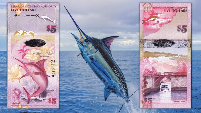 banconota dell anno 2024 ibns bermuda 5 dollari natura flora fauna mare
