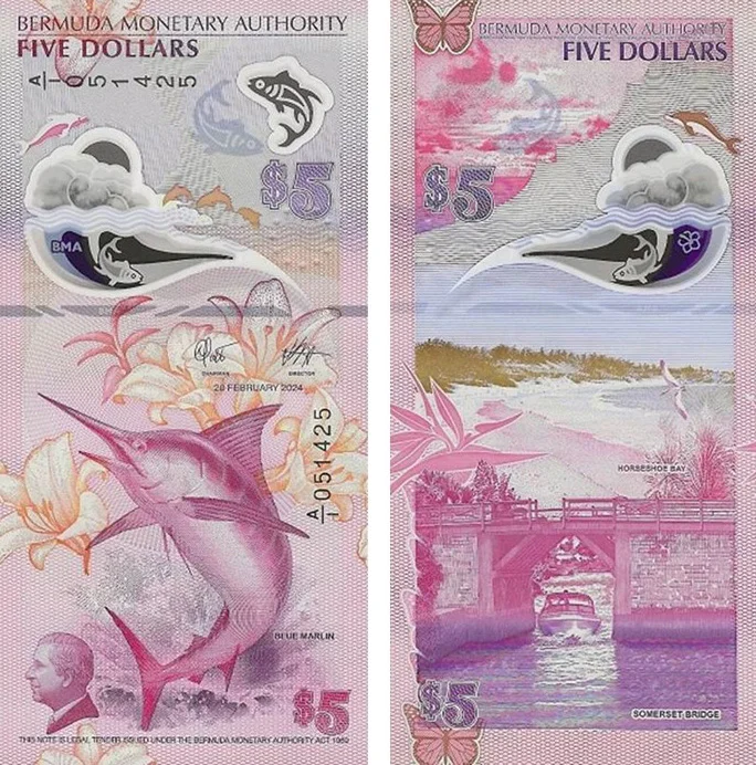 banconota dell anno 2024 ibns bermuda 5 dollari natura flora fauna mare 