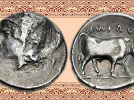 hyria allifae moneta didracma asta classical numismatic group cng numismatica ars classica nac indagine attribuzione rarità