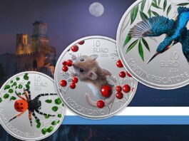 monete fauna di san marino 10 euro cupronichel numismatica collezione set ragno coccinella martin pescatore moscardino natura monte titano biodiversità