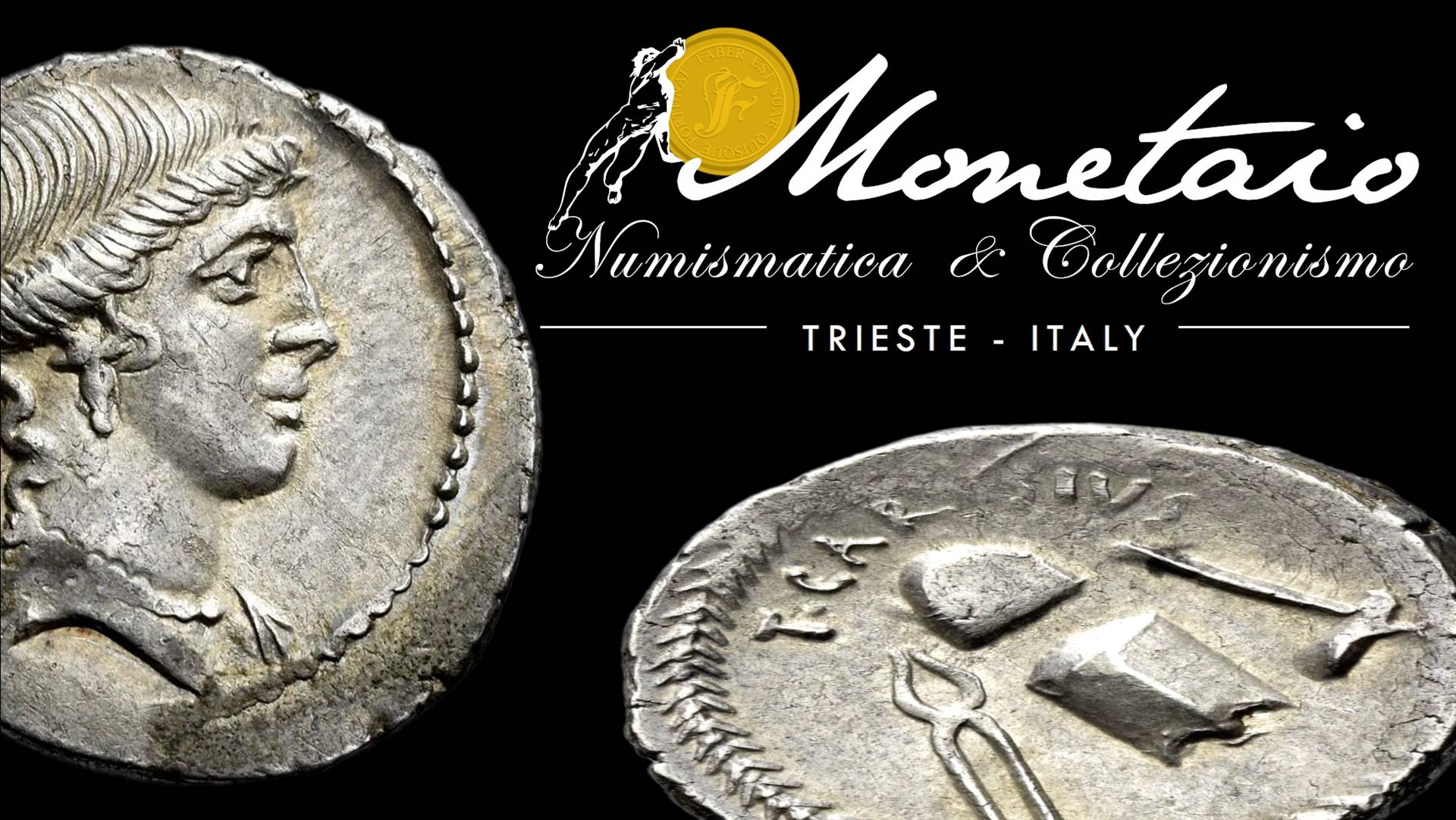 Monetaio_perizie (0) attività specialistiche monetaio srl a trieste numismatica oro bullion collezionimo investimento expertise valore perizia nip rennpe monete banconote medaglie gettoni lingotti