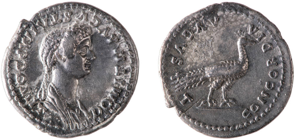 germania bonn colonia tesoro di wesseling numismatica monete romane epoca adrianea 943 denari argento roma impero repubblica metal detector scoperta archeologia coinsweekly